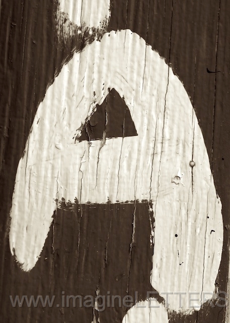Wall_Art_Alphabet_Photography_Art_ 112.jpg